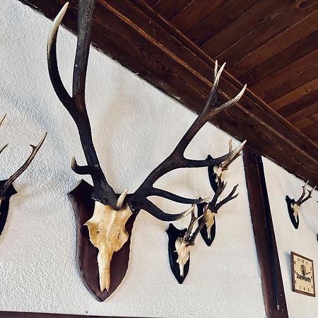 Myslivna Harrachov Hotel Eksteriør billede